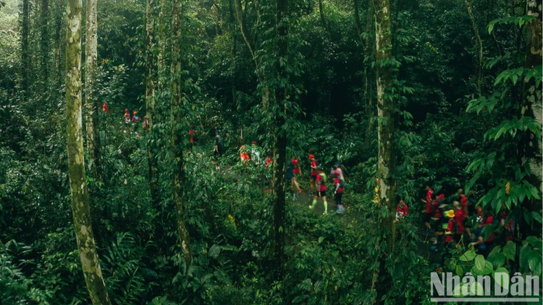 El Parque Nacional de Cuc Phuong fue nombrado como el Parque Nacional Líder de Asia. El Parque Nacional de Cuc Phuong fue nombrado como el Parque Nacional Líder de Asia.