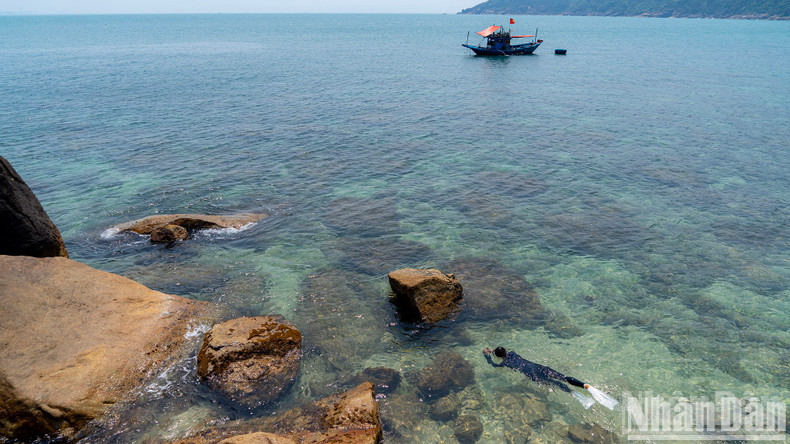 Esta "perla" tiene un ecosistema submarino diverso con más de 144 especies de coral, 135 especies de algas y 162 especies de peces coloridos que crean una imagen brillante bajo el mar. Esta "perla" tiene un ecosistema submarino diverso con más de 144 especies de coral, 135 especies de algas y 162 especies de peces coloridos que crean una imagen brillante bajo el mar.