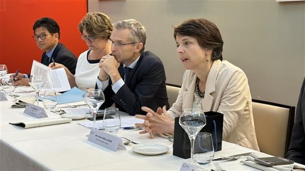 El viceprimer ministro vietnamita Tran Hong Ha se reunió con la vicedirectora general de la Agencia Francesa de Desarrollo (AFD), Marie Helene Loison. (Foto: VNA) El viceprimer ministro vietnamita Tran Hong Ha se reunió con la vicedirectora general de la Agencia Francesa de Desarrollo (AFD), Marie Helene Loison. (Foto: VNA)