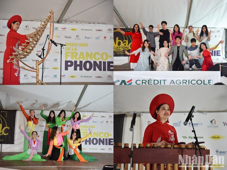 Actuación artísitica en el festival. Actuación artísitica en el festival.