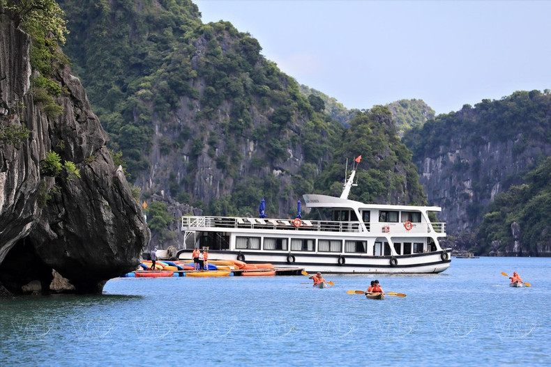 Los visitantes pueden explorar la bahía remando en kayak desde los cruceros, disfrutando del hermoso paisaje y el aire fresco. (Foto: Revista Vietnam) Los visitantes pueden explorar la bahía remando en kayak desde los cruceros, disfrutando del hermoso paisaje y el aire fresco. (Foto: Revista Vietnam)