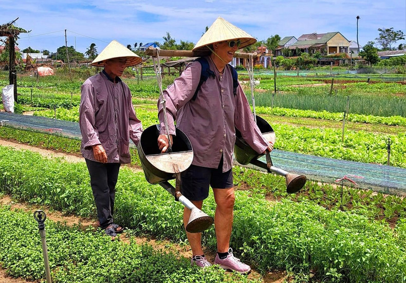 Turistas españoles experimentan las prácticas de cultivo locales. Turistas españoles experimentan las prácticas de cultivo locales.