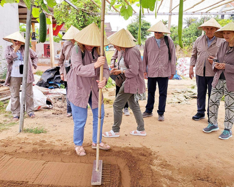 Llevan sombreros cónicos vietnamitas y cultivan verduras en un entorno campestre vietnamita. Llevan sombreros cónicos vietnamitas y cultivan verduras en un entorno campestre vietnamita.