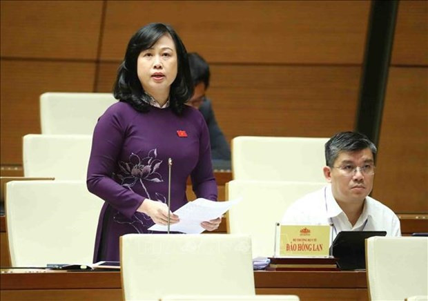La ministra de Salud, Dao Hong Lan. (Foto: VNA)