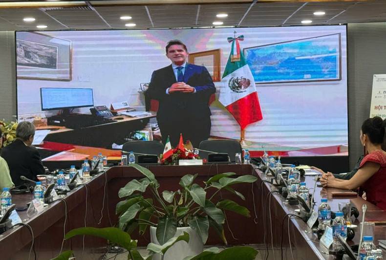 Fernando González Saiffe, Director General para Asia-Pacífico del Ministerio de Asuntos Exteriores, en su discurso por vídeo conferencia. (Foto: Thanh Hang).