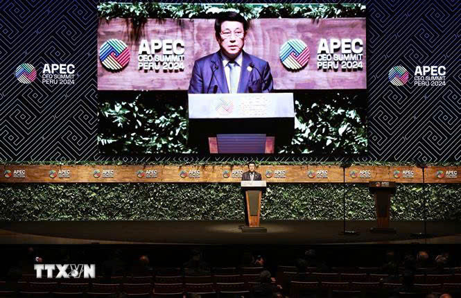 El presidente vietnamita, Luong Cuong, habla en la Cumbre de CEO de APEC. (Foto: VNA)