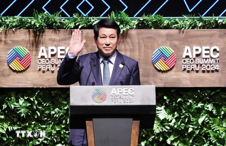 El presidente vietnamita, Luong Cuong, habla en la Cumbre de CEO de APEC. (Foto: VNA)
