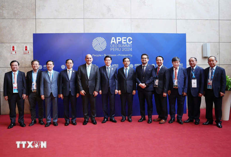 El presidente vietnamita, Luong Cuong, y los delegados a la Cumbre de CEO de APEC. (Foto: VNA)