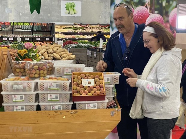 Foto de ilustración. (Foto: VNA)