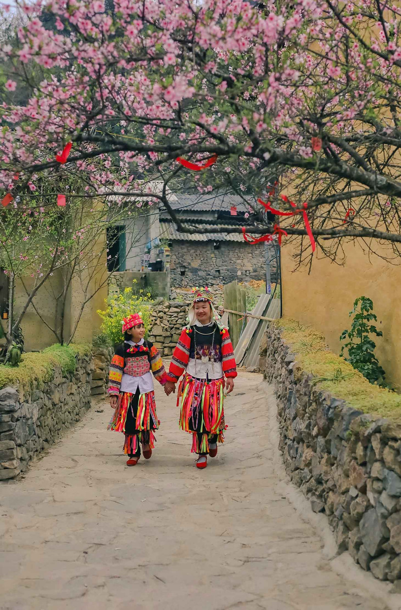 Según el fotógrafo, la combinación del color rosa brillante de las flores y la belleza inherente de esta tierra montañosa da como resultado una escena impresionante. Según el fotógrafo, la combinación del color rosa brillante de las flores y la belleza inherente de esta tierra montañosa da como resultado una escena impresionante.