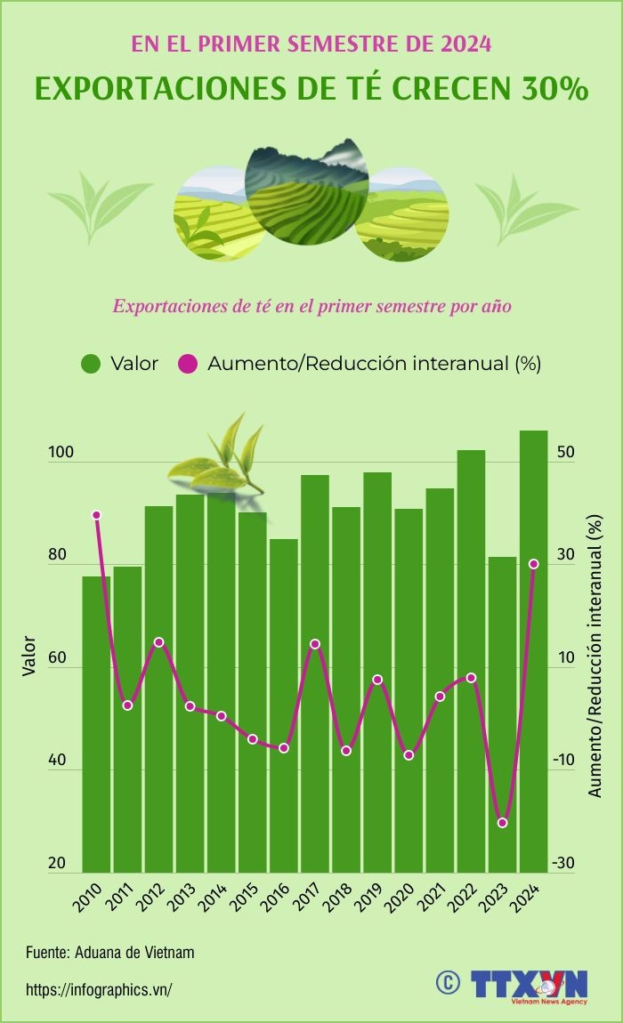 Exportaciones del té de Vietnam crecieron 30 por ciento en primer semestre de 2024 ảnh 1