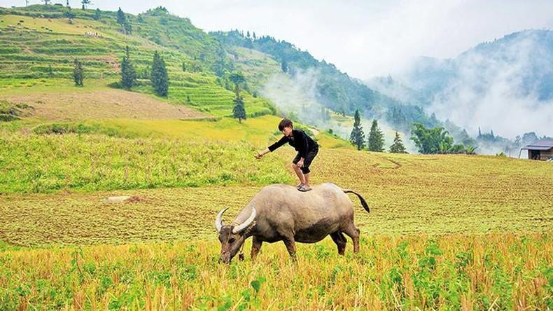 Un momento apacible en Suoi Thau.