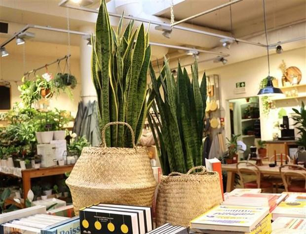 Productos artesanales vietnamitas en una tienda belga. (Fotografía: VNA) Productos artesanales vietnamitas en una tienda belga. (Fotografía: VNA)