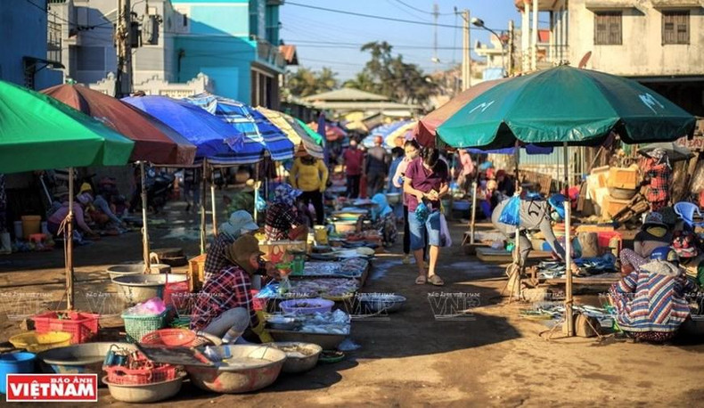El mercado de pescado de Lang Nai, ubicado al lado de la laguna, es conocido por sus mariscos frescos a precio asequible. (Fotografía: VNA) El mercado de pescado de Lang Nai, ubicado al lado de la laguna, es conocido por sus mariscos frescos a precio asequible. (Fotografía: VNA)