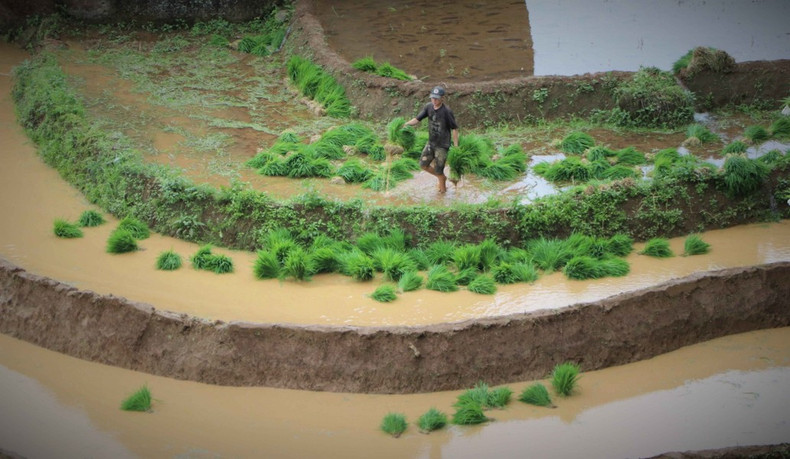 La comuna de Khun Ha alberga al 93% de la minoría étnia de Mong. (FotoÑ VNA) La comuna de Khun Ha alberga al 93% de la minoría étnia de Mong. (FotoÑ VNA)