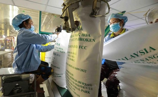 Ensacado de arroz para exportación en la compañía de Vinh Phat, ciudad de Long Xuyen, provincia de An Giang. (Foto: VNA) Ensacado de arroz para exportación en la compañía de Vinh Phat, ciudad de Long Xuyen, provincia de An Giang. (Foto: VNA)
