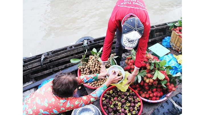 Especialidades de la región sureste del país. Especialidades de la región sureste del país.