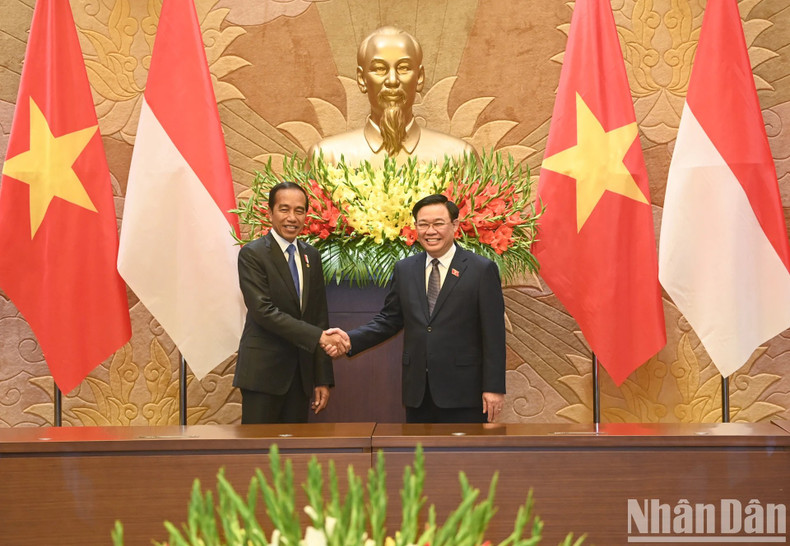 El presidente de la ANV, Vuong Dinh Hue, y el mandatario indonesio, Joko Widodo.