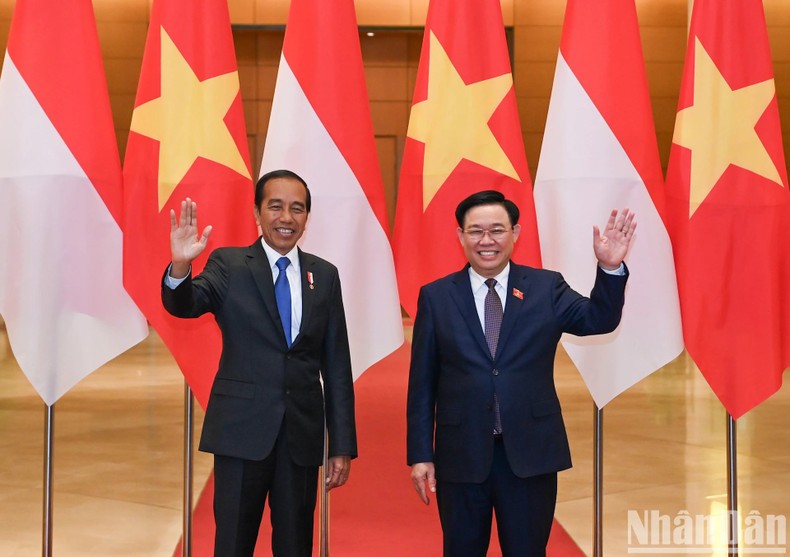 El presidente de la ANV, Vuong Dinh Hue, y el mandatario indonesio, Joko Widodo.