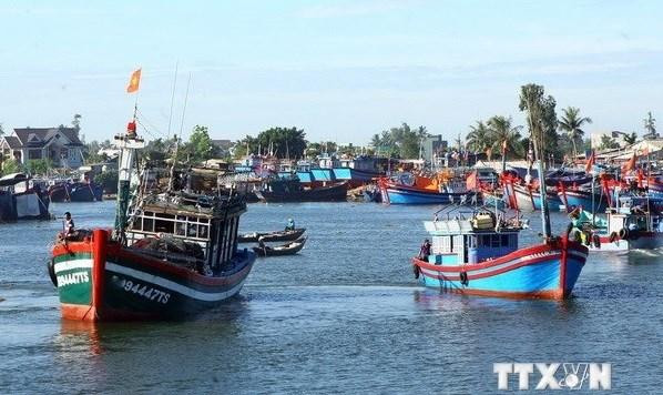 Barcos pesqueros de la provincia de Quang Ngai amarrados en el puerto de Sa Ky. (Fotografía: VNA) Barcos pesqueros de la provincia de Quang Ngai amarrados en el puerto de Sa Ky. (Fotografía: VNA)