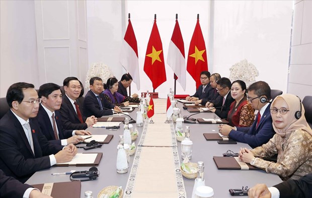 El presidente del Parlamento vietnamita, Vuong Dinh Hue, sostuvo conversaciones en Yakarta con la presidenta del Consejo de Diputados del Pueblo indonesio, Puan Maharani. (Foto: VNA)