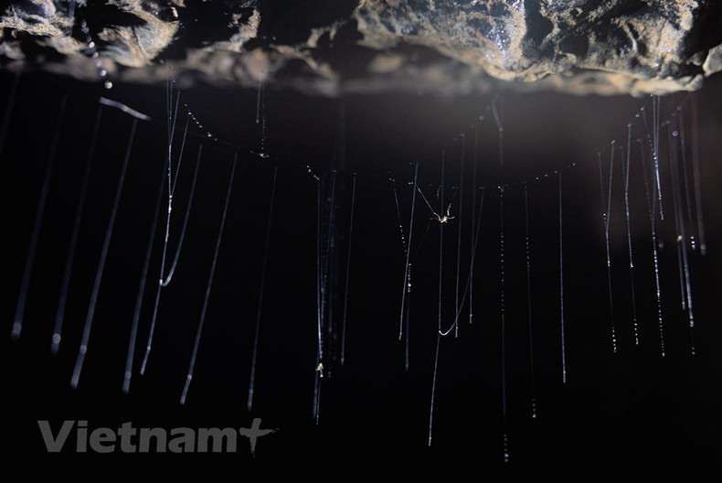 El agua se derrama sobre las columnas de estalactitas de la cueva Hang Va, con una antigüedad de millones de años. (Foto: Vietnam+) El agua se derrama sobre las columnas de estalactitas de la cueva Hang Va, con una antigüedad de millones de años. (Foto: Vietnam+)