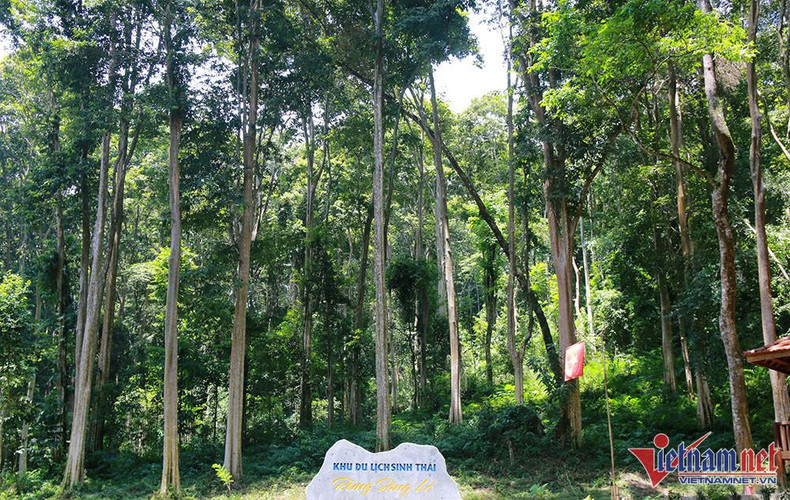 Un lugar para descansar en el recorrido de exploración de la región oeste de Nghe An. Un lugar para descansar en el recorrido de exploración de la región oeste de Nghe An.