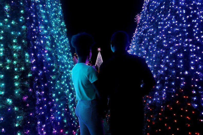 Bosque navideño digital en los Jardines Botánicos Reales de Sídney, Australia. (Fotografía: Getty)