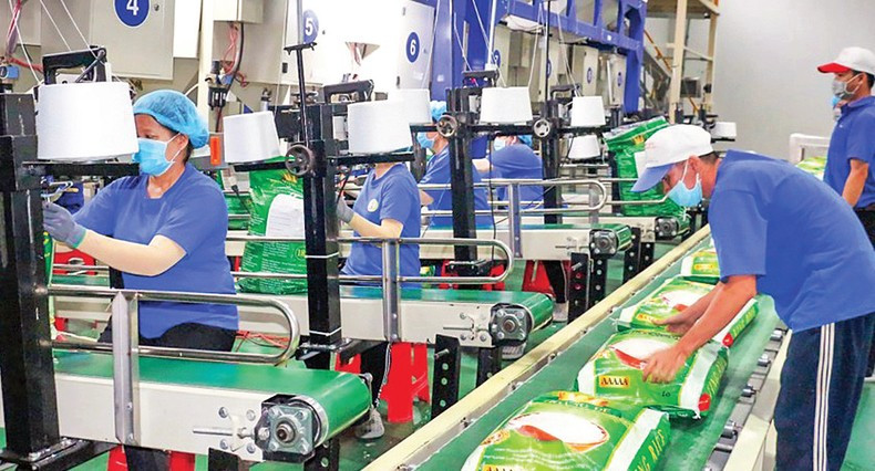 Envasado de arroz para exportación al mercado de la Unión Europea en la Sociedad Anónima de Agricultura de Alta Tecnología Trung An, en la sureña provincia vietnamita de Can Tho. (Foto: Nam Phuong) Envasado de arroz para exportación al mercado de la Unión Europea en la Sociedad Anónima de Agricultura de Alta Tecnología Trung An, en la sureña provincia vietnamita de Can Tho. (Foto: Nam Phuong)