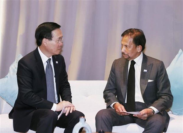 Vo Van Thuong se entrevistó con el sultán de Brunei, Darussalam Sultan Haji Hassanal Bolkiah (Fotografía: VNA) Vo Van Thuong se entrevistó con el sultán de Brunei, Darussalam Sultan Haji Hassanal Bolkiah (Fotografía: VNA)