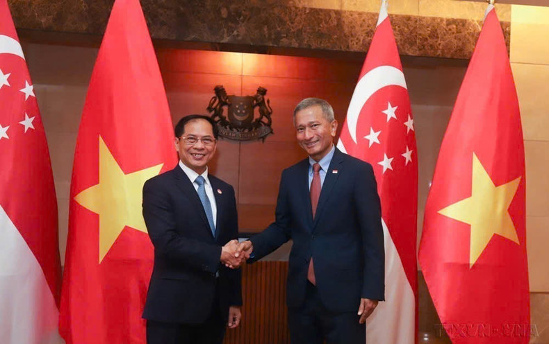 El ministro de Relaciones Exteriores, Bui Thanh Son, se reúne con su homólogo singapurense, Vivian Balakrishnan, en el país insular el 18 de julio de 2023. (Foto: VNA) El ministro de Relaciones Exteriores, Bui Thanh Son, se reúne con su homólogo singapurense, Vivian Balakrishnan, en el país insular el 18 de julio de 2023. (Foto: VNA)