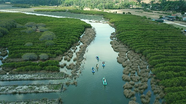 Foto de ilustración. (Fotografía: VNA)