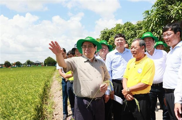 El primer ministro Pham Minh Chinh visita un modelo de agricultura de alta tecnología en la provincia sureña de Dong Thap. (Foto: VNA)