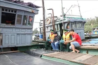 Foto ilustrativa. (Foto: VNA)