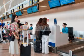 Vietnam exige declaración electrónica de entrada a viajeros con visado en Tan Son Nhat desde el 15 de abril