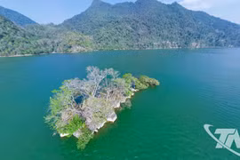 El lago Ba Be (Foto: baothainguyen.vn)
