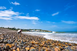 [Foto] Co Thach, una playa de singular valor geológico en Vietnam