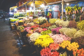 [Vídeo] Mercado de flores en Hanói se llena de ambiente antes del Tet