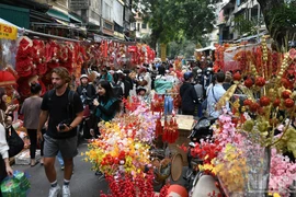 Vietnam recibe más de 2,2 millones de turistas internacionales en febrero