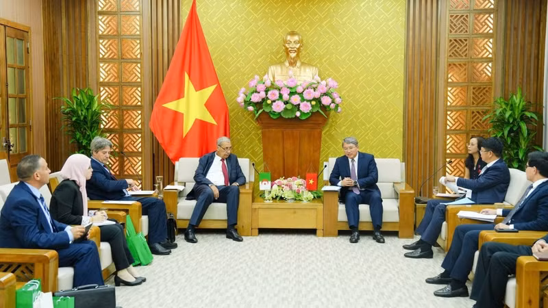 Escena del evento (Foto: VOV)