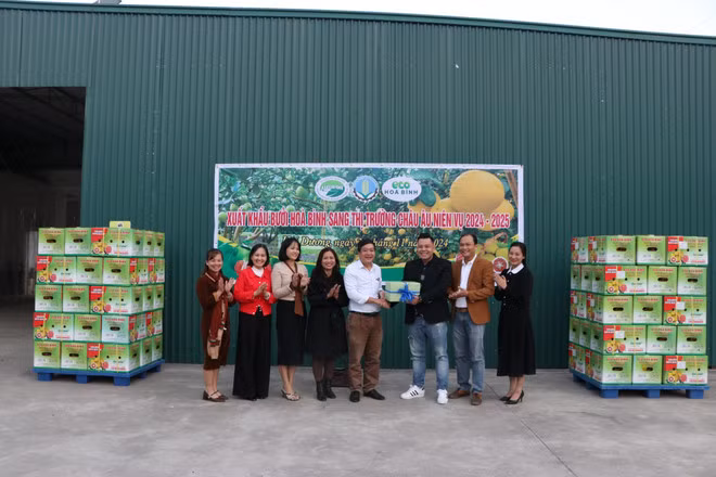 La provincia de Hoa Binh anuncia el primer envío de pomelos al mercado de la UE por vía marítima el 28 de noviembre de 2024. (Foto: VNA)