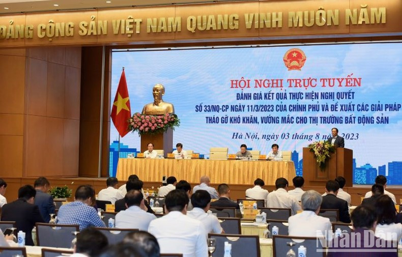 Panorama de la cita. Panorama de la cita.