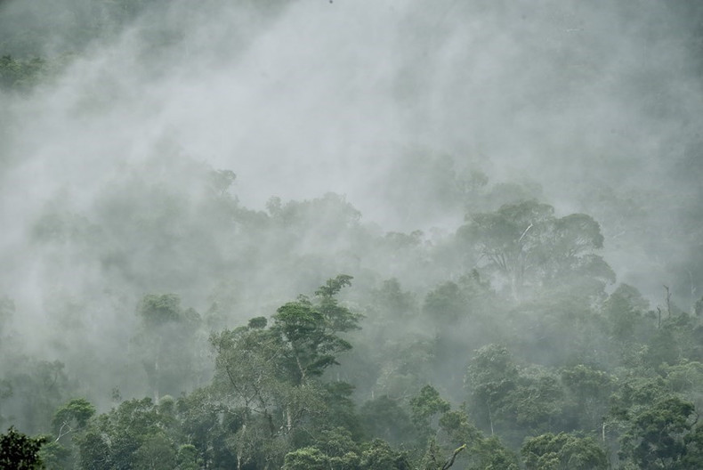 Una vista del Parque Nacional Kon Ka Kinh, un área central de la Reserva Mundial de Biosfera Kon Ha Nung. Una vista del Parque Nacional Kon Ka Kinh, un área central de la Reserva Mundial de Biosfera Kon Ha Nung.