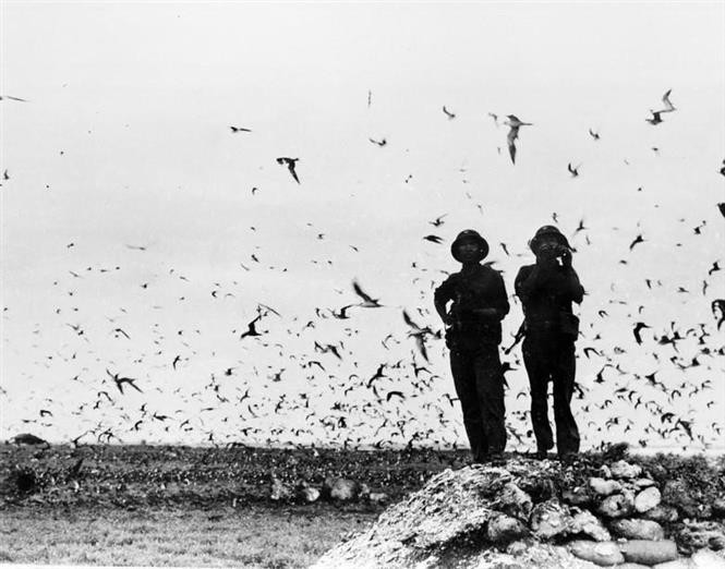 Tropas navales vietnamitas en la isla de Truong Sa, el 29 de abril de 1975.
