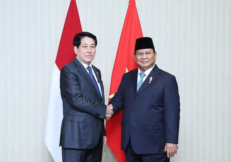 El presidente de Vietnam, Luong Cuong, y el presidente indonesio, Prabowo Subianto.