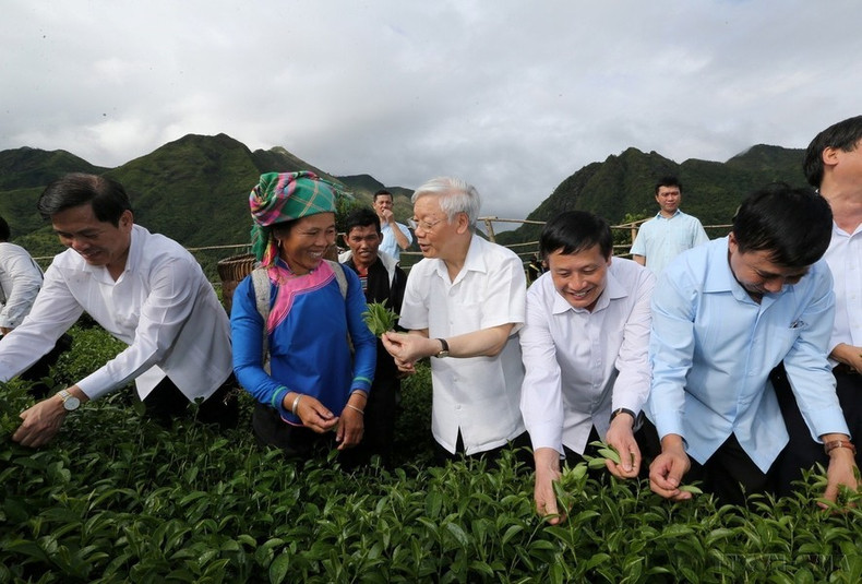 El secretario general Nguyen Phu Trong visita un modelo de producción intensiva de té en la comuna de Ban Bo, distrito de Tam Duong, provincia norteña de Lai Chau, el 14 de julio de 2016.