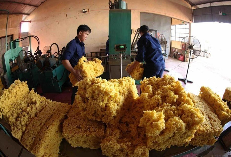 El Cuerpo de ejército 15 del Ministerio de Defensa está implementando proyectos de desarrollo socioeconómico tanto en el país como en el extranjero, centrándose en el desarrollo de árboles de caucho y café. Los proyectos generan empleos para más de dos mil 430 personas, de las cuales más de mil son minorías étnicas.