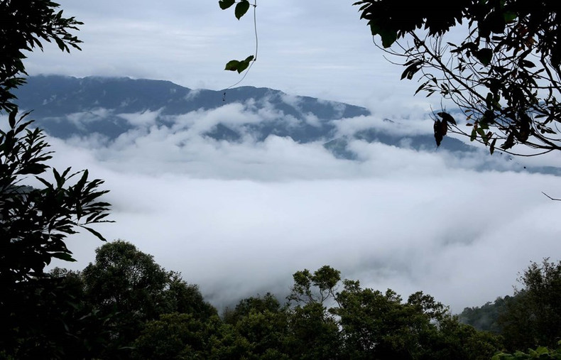 En cualquier punto de la comuna de Ka Lang, especialmente por la mañana, los visitantes sienten como si estuvieran entre las nubes.
