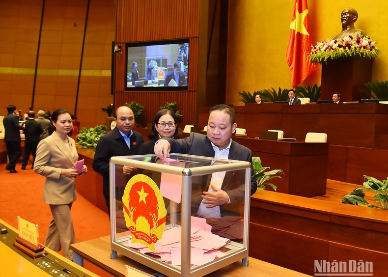 Los diputados votaron los nombramientos de Viceprimer Ministro para el período 2021-2026.