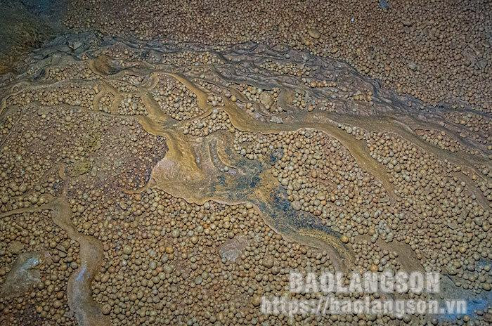 Hermosas y brillantes estalactitas aparecen por doquier en la cueva.